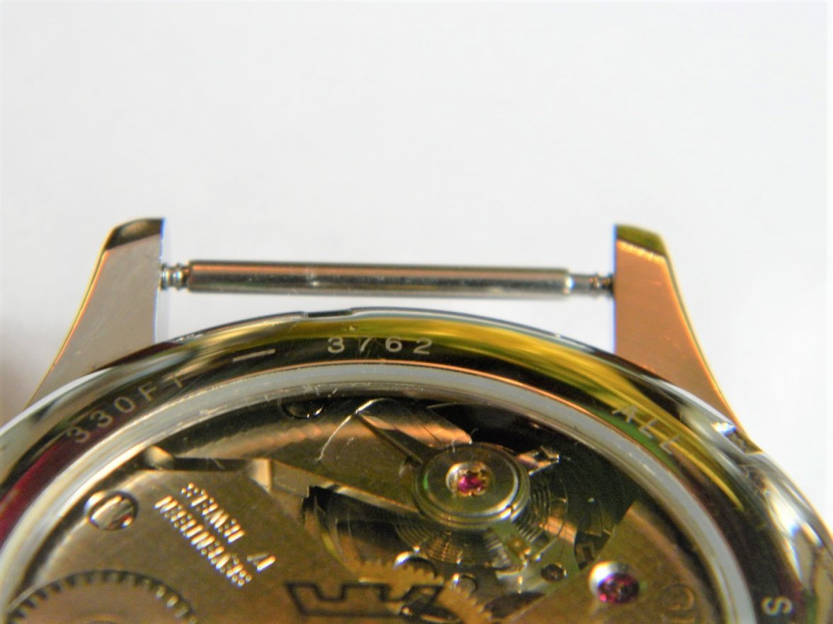 glycine_incursor 011.JPG glycine_incursor 011.JPG