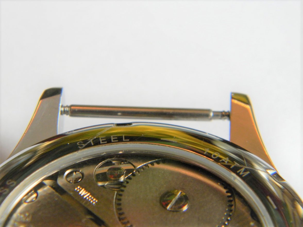 glycine_incursor 012.JPG glycine_incursor 012.JPG