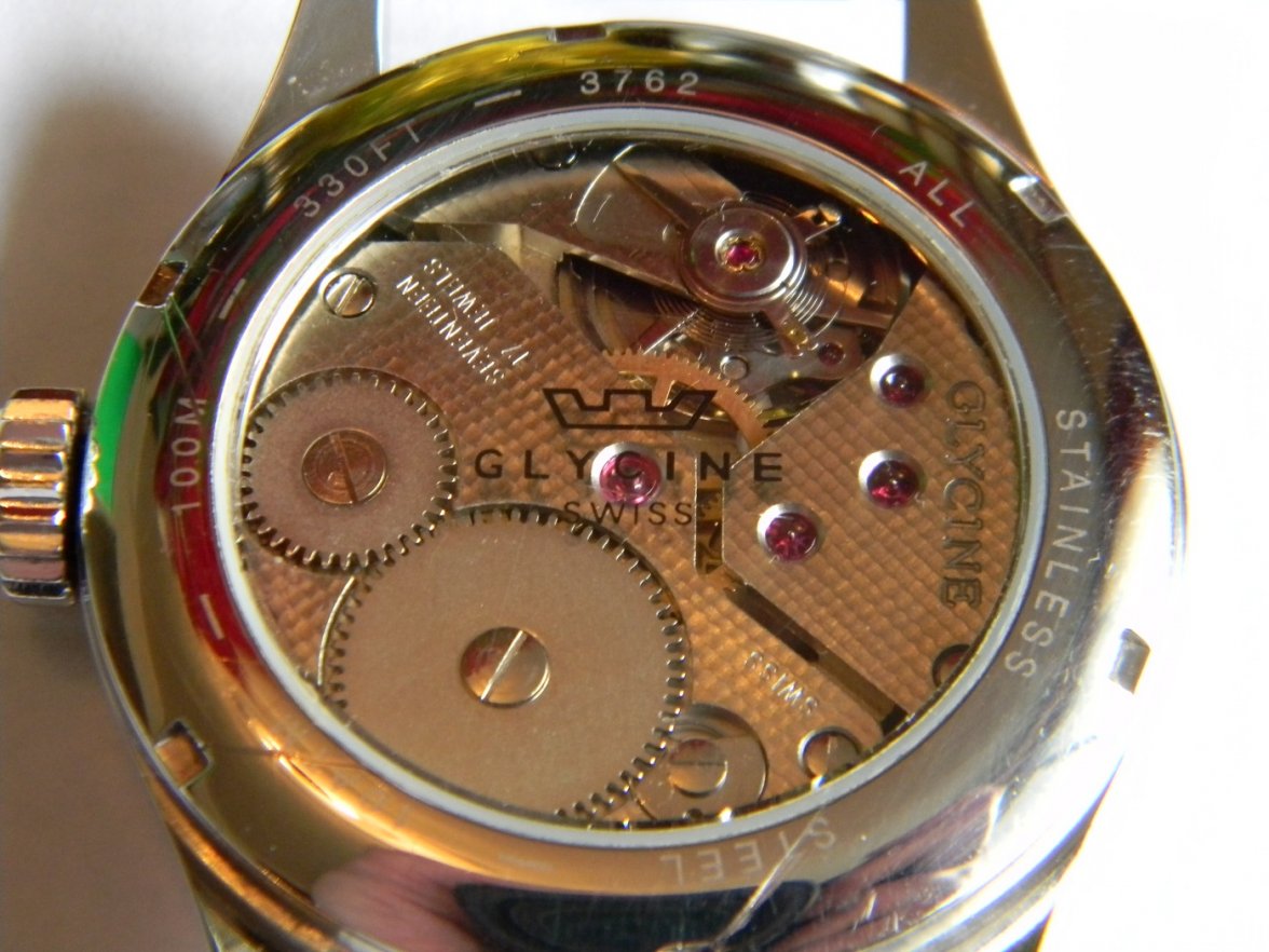 glycine_incursor 014.JPG glycine_incursor 014.JPG