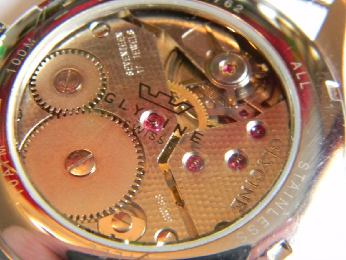 glycine_incursor 015.JPG glycine_incursor 015.JPG