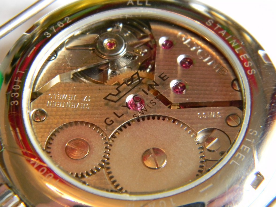 glycine_incursor 016.JPG glycine_incursor 016.JPG