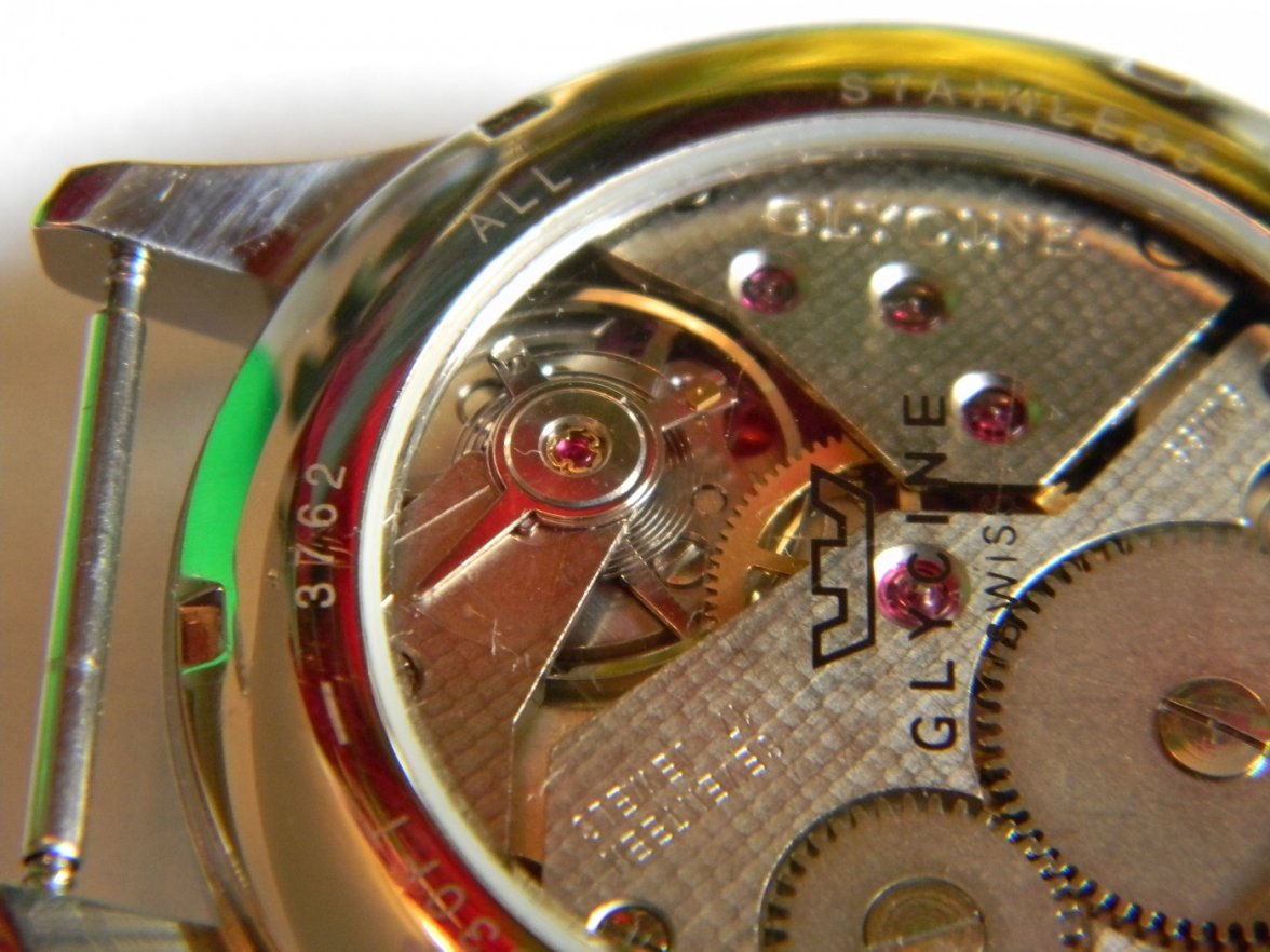 glycine_incursor 017.JPG glycine_incursor 017.JPG