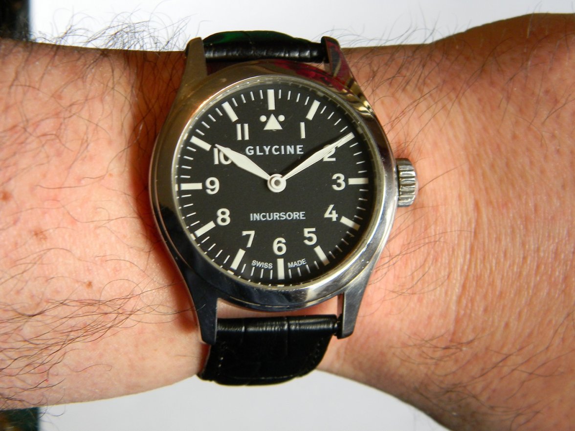 glycine_incursor 019.JPG glycine_incursor 019.JPG