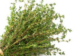 thyme.jpg