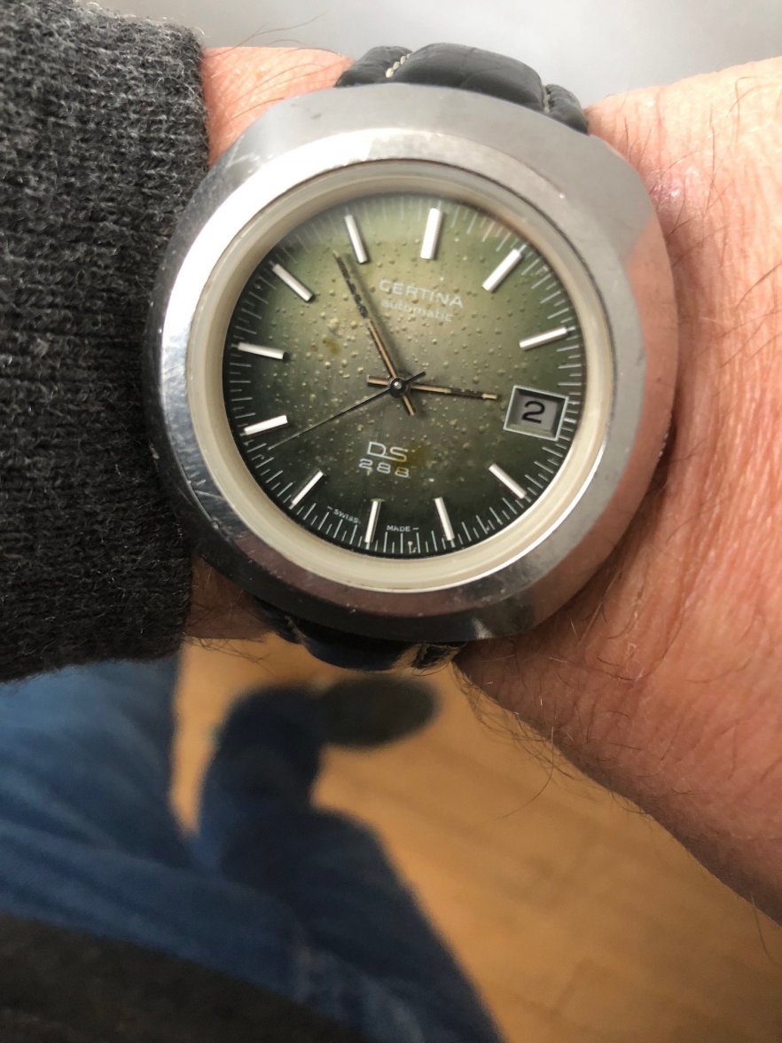 IMG_1234 (002).jpg IMG_1234 (002).jpg