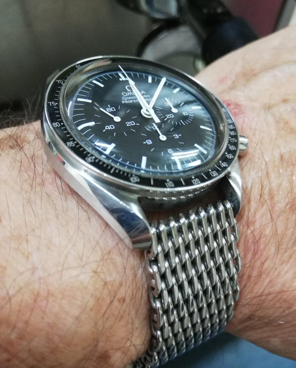 Speedy on Mesh IMG_20200115.jpg