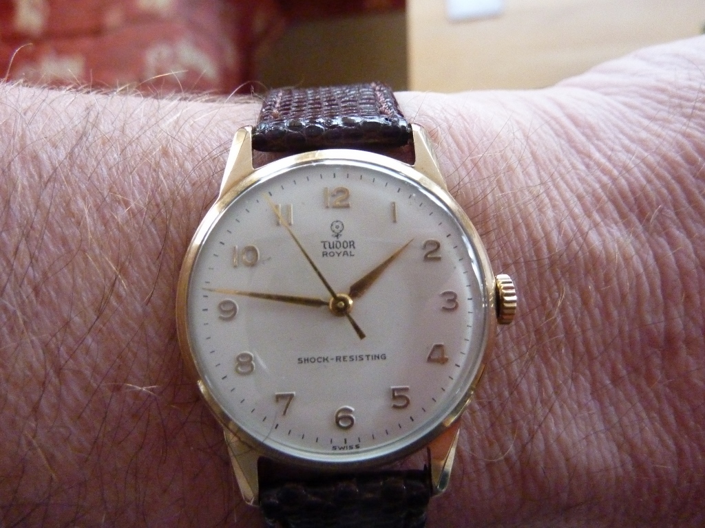 P1030189 (1024x768).jpg