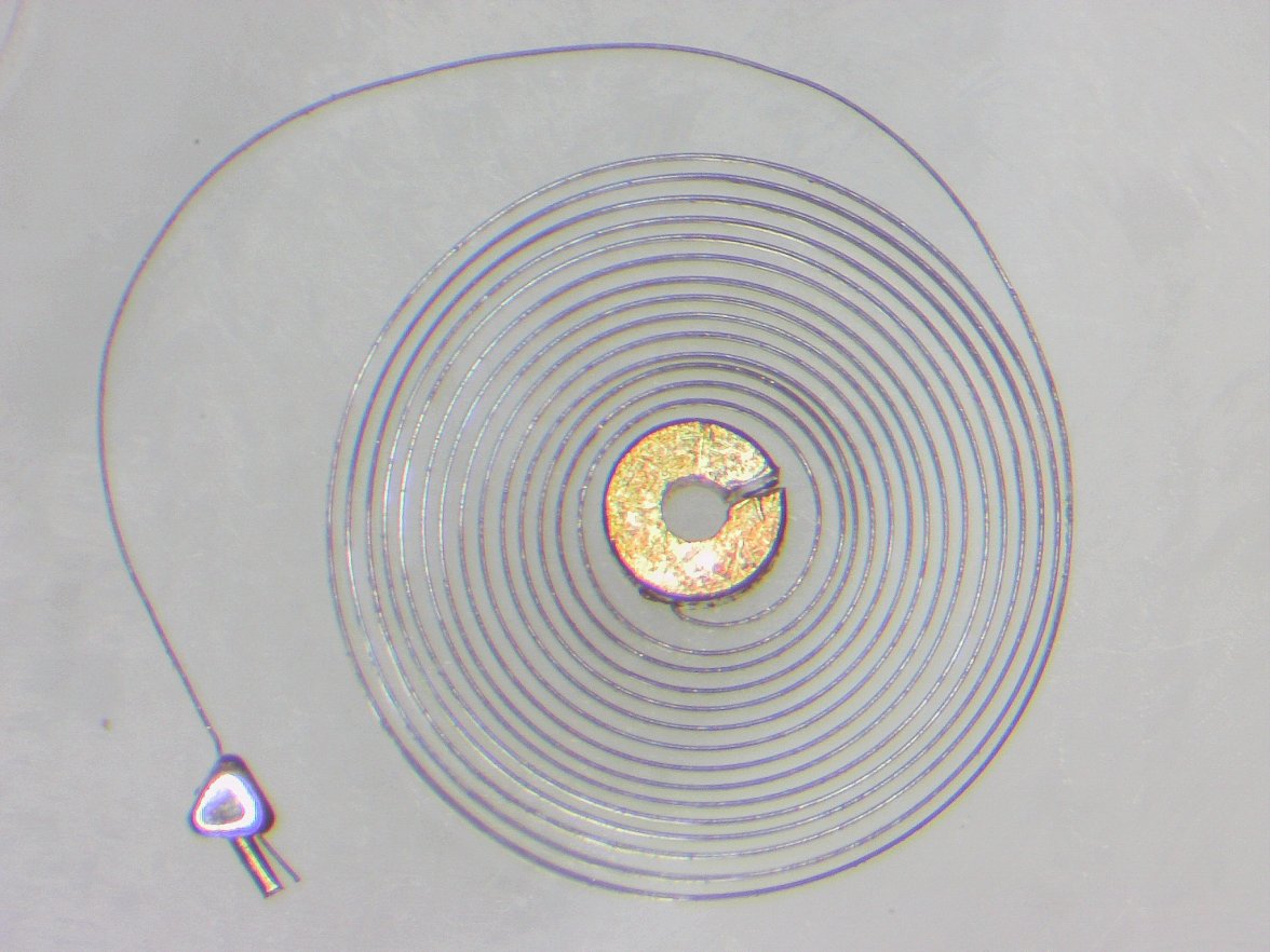 hairspring100.jpg