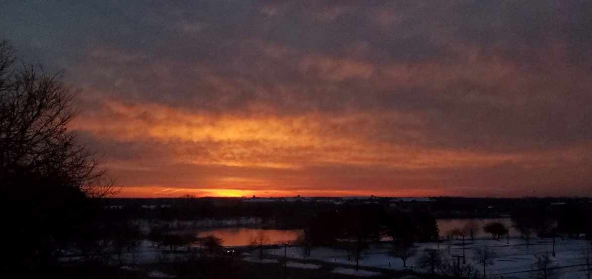 Seagull sunrise 1 20200122_071010.jpg