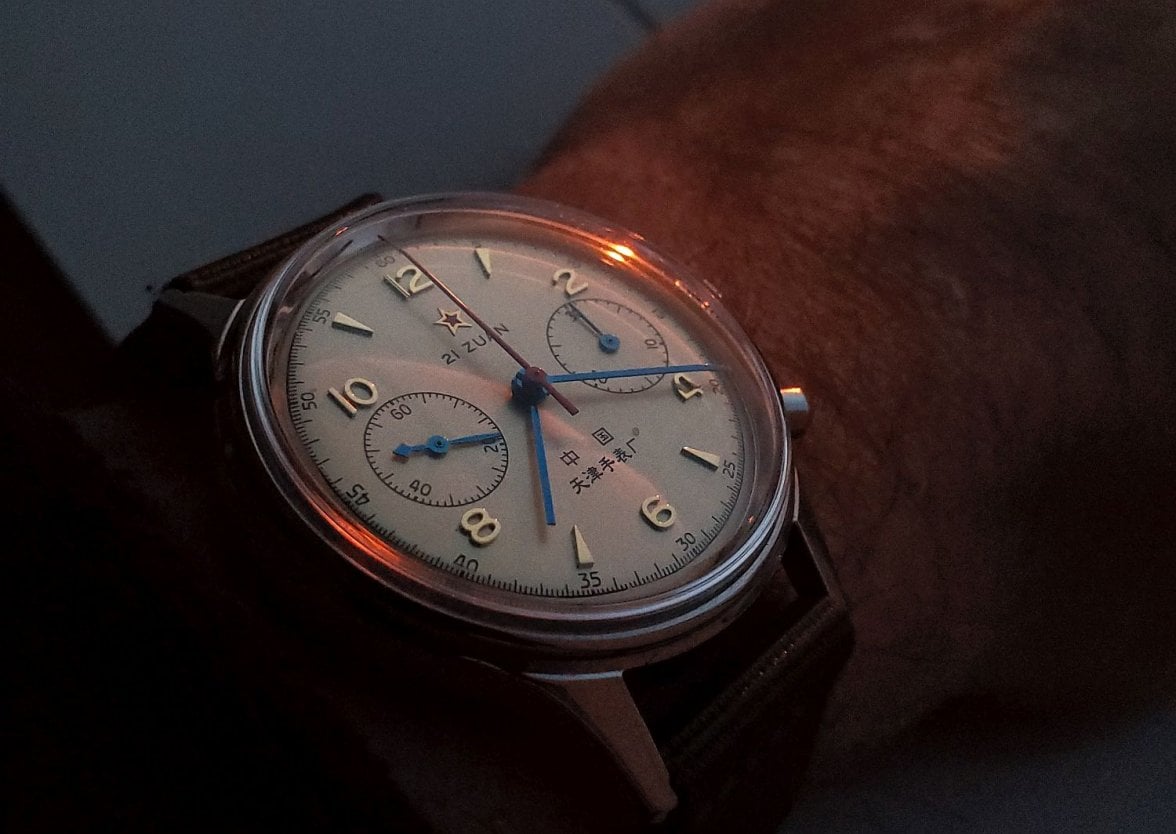 Seagull ws 1 20200122_071900.jpg