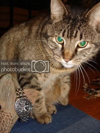 D856A56B-8D83-4139-A362-C619D80D0379.jpeg D856A56B-8D83-4139-A362-C619D80D0379.jpeg