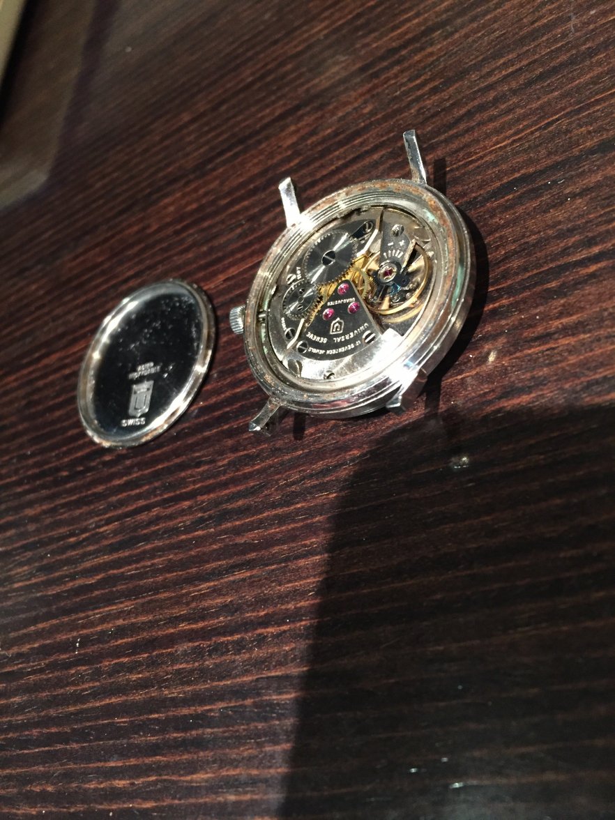 49F277FD-276B-450B-86C9-61693553A918.jpeg 49F277FD-276B-450B-86C9-61693553A918.jpeg