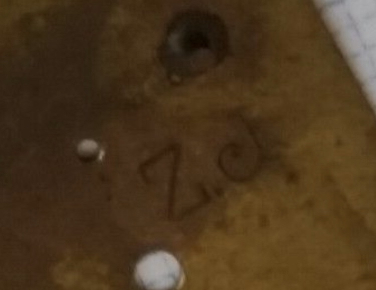 B5B15BBB-A771-4A2E-A3DF-8A37D41D98D4.jpeg B5B15BBB-A771-4A2E-A3DF-8A37D41D98D4.jpeg