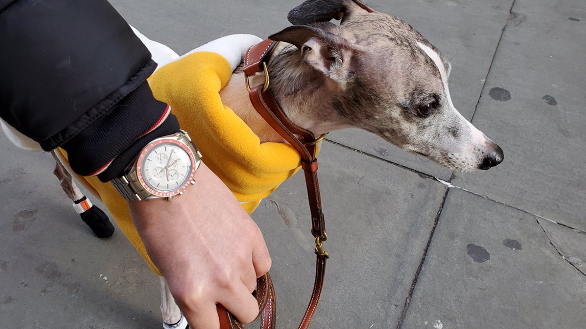 2020-01-15 15.53.34 Adj Small.jpg