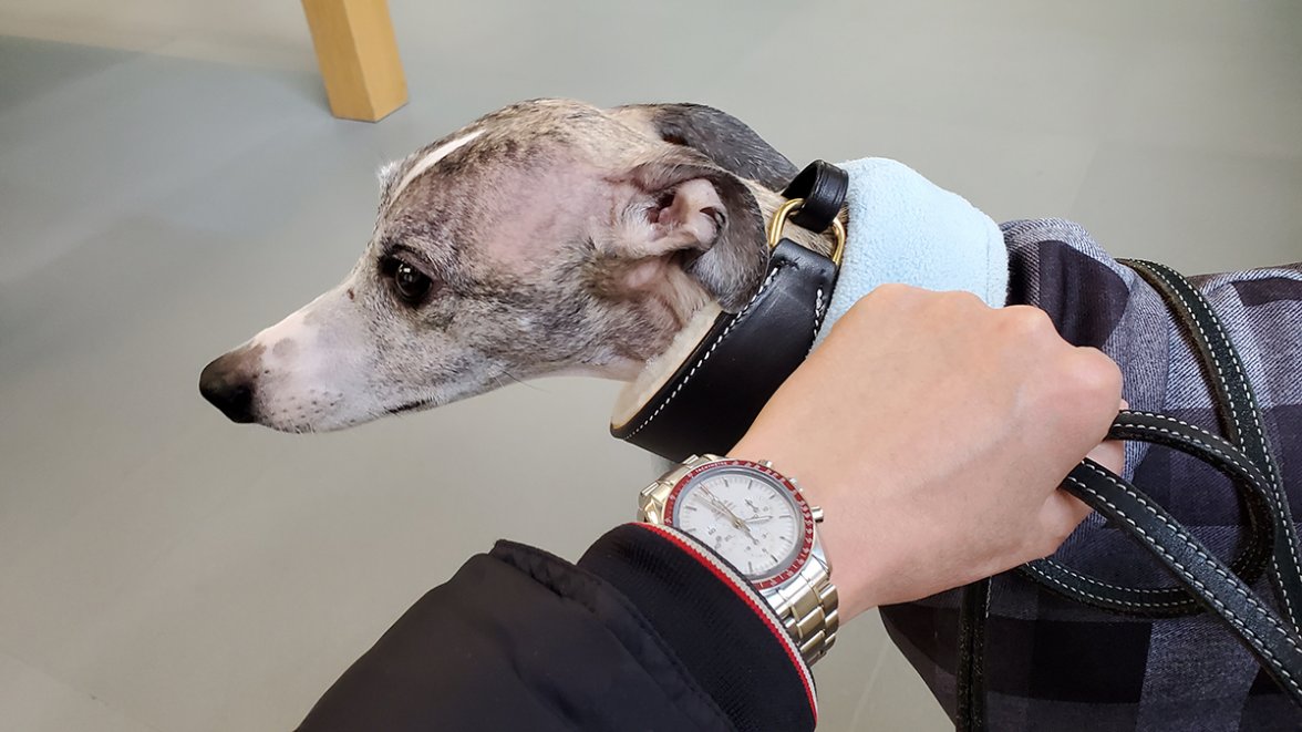 2020-01-16 15.56.59 Adj Small (1).jpg