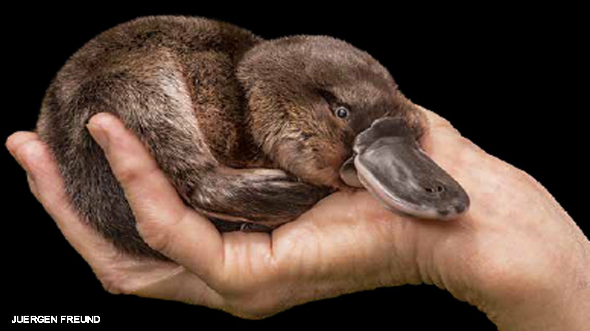 2EE4C0EE-7826-4CA3-A4C7-59D775A4E953.jpeg