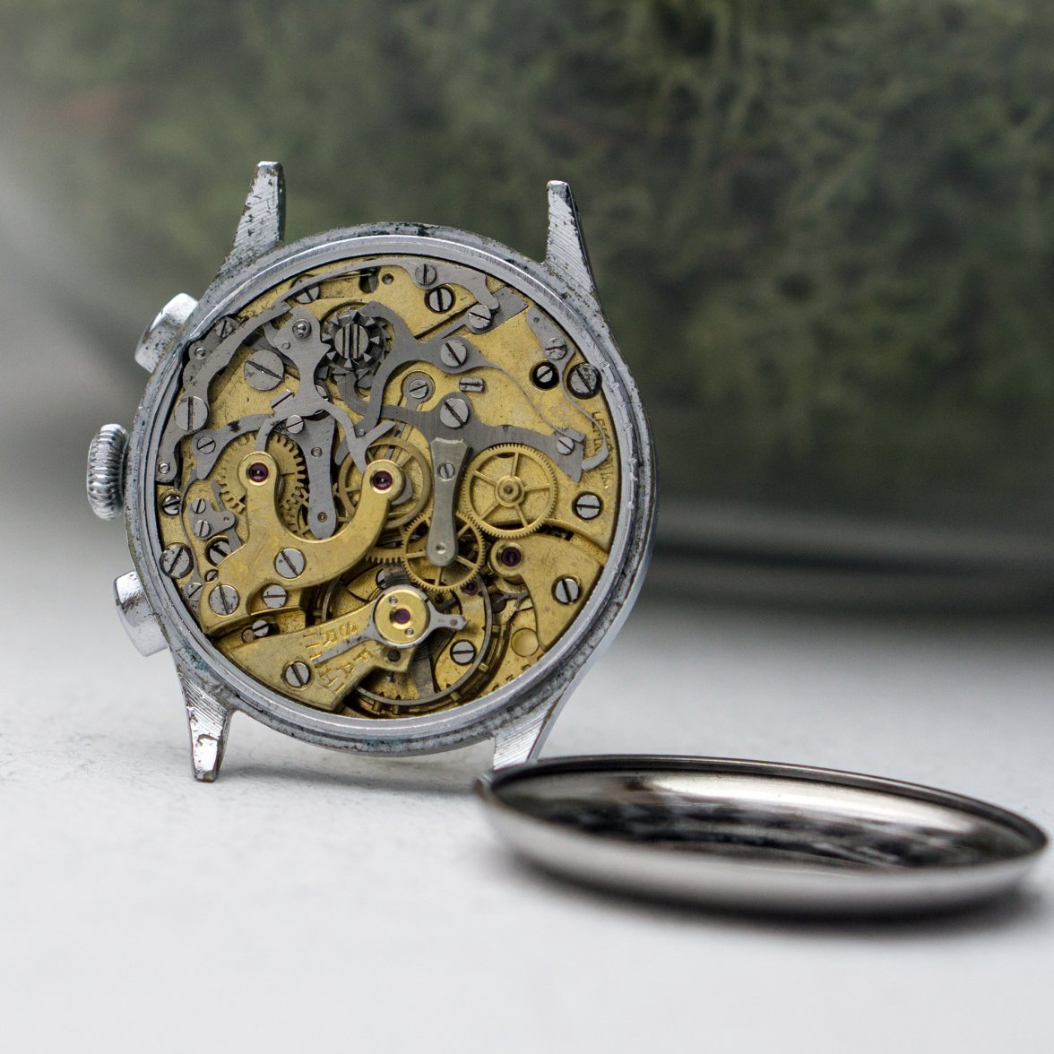 20200202-DSC07331.jpg 20200202-DSC07331.jpg