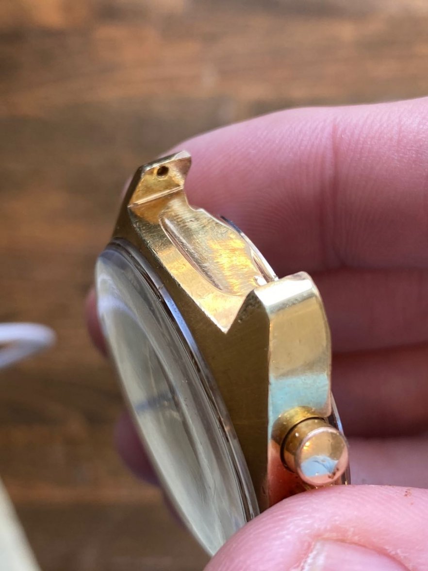 IMG_3397.jpeg IMG_3397.jpeg