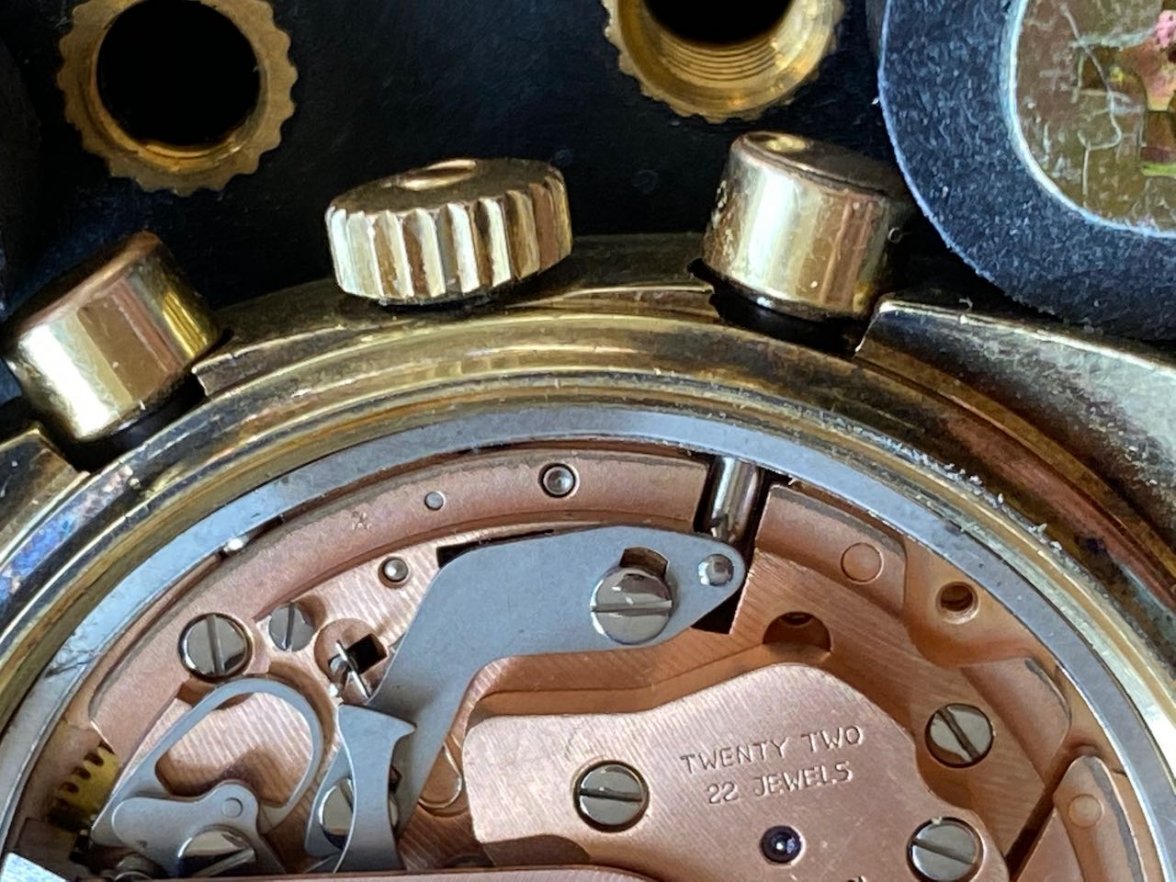 IMG_3387.jpeg IMG_3387.jpeg