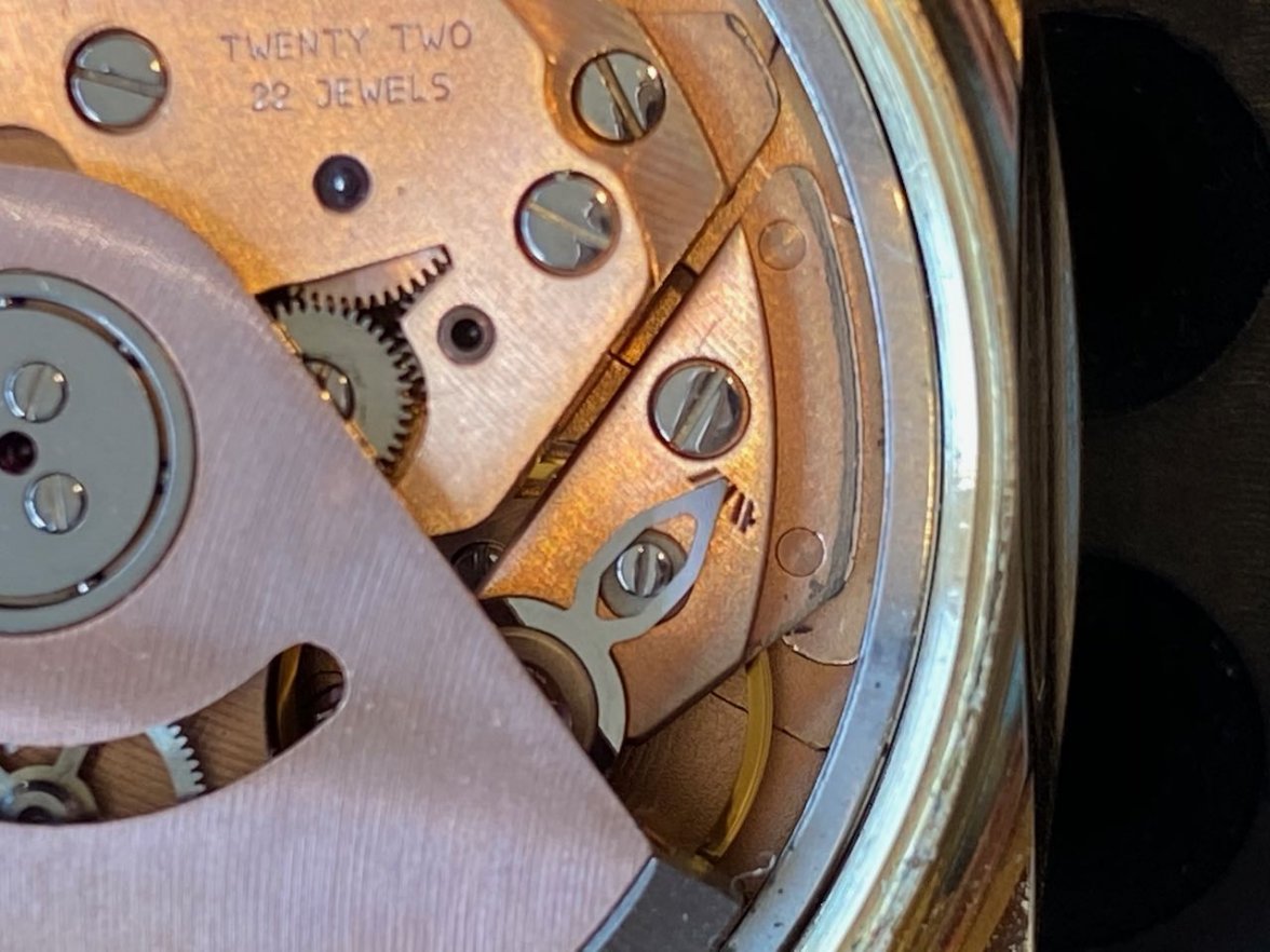 IMG_3385.jpeg IMG_3385.jpeg