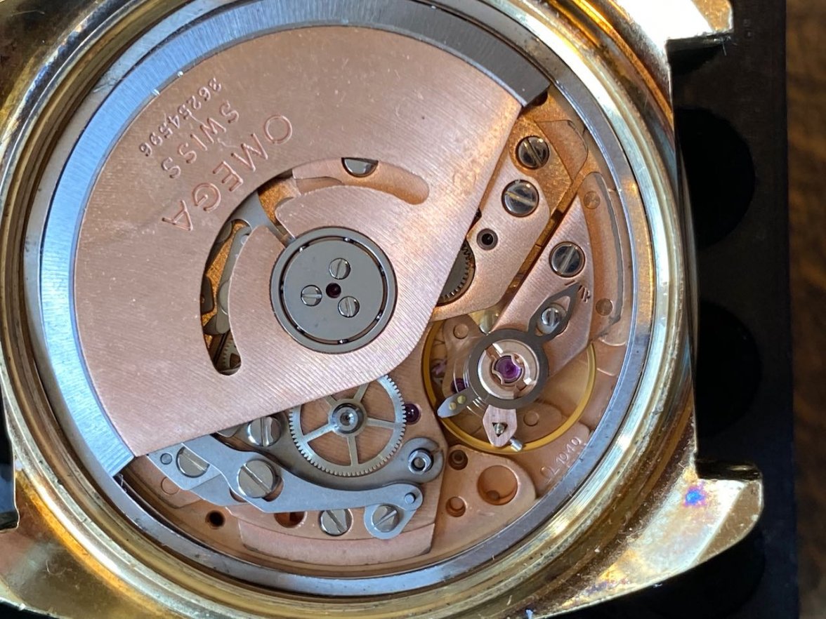 IMG_3383.jpeg IMG_3383.jpeg