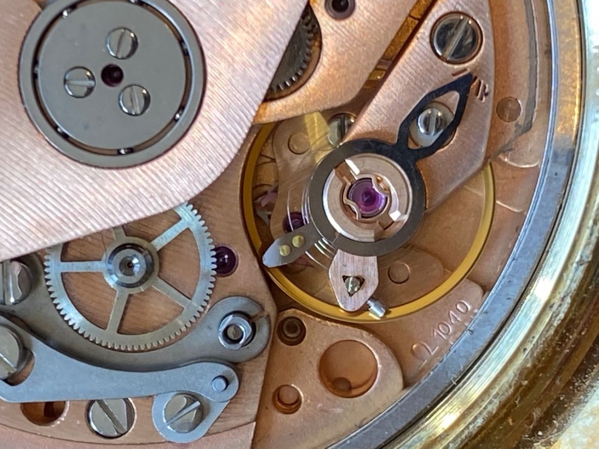 IMG_3382.jpeg IMG_3382.jpeg