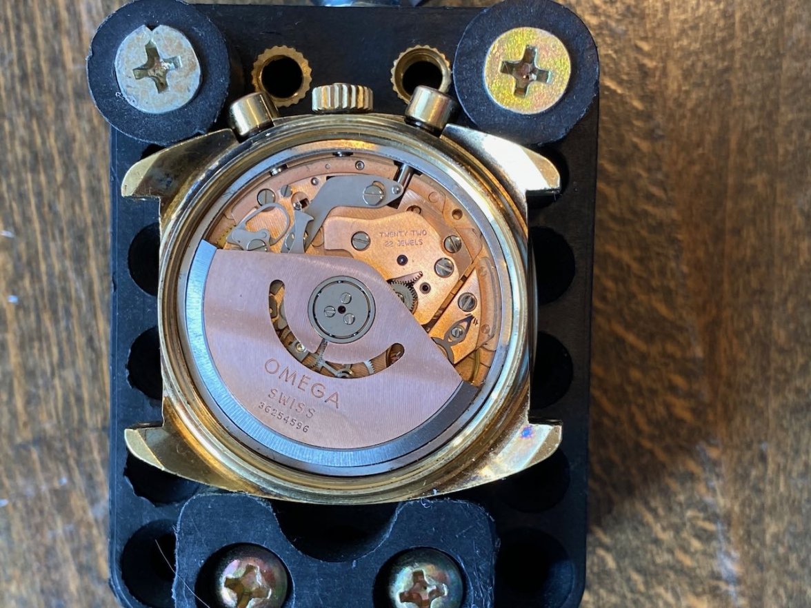 IMG_3381.jpeg IMG_3381.jpeg