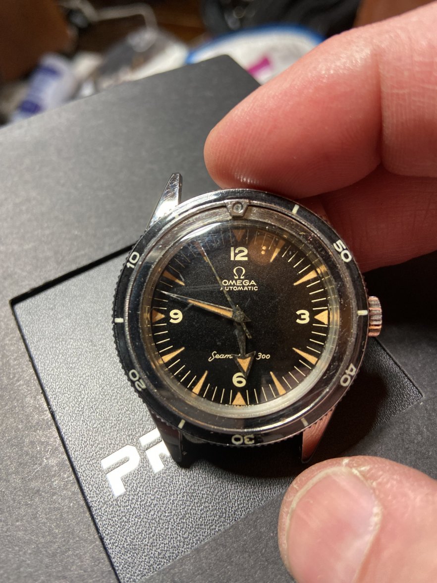 77FCA883-9E00-48A7-8300-704A8FEEDF49.jpeg