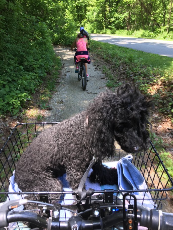 Jasmine riding in bike basket.jpg