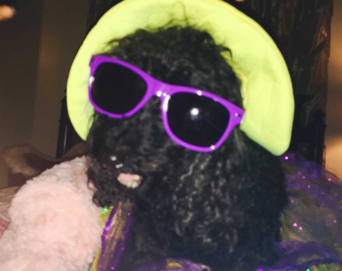 Jasmine with NOLA glasses.jpg