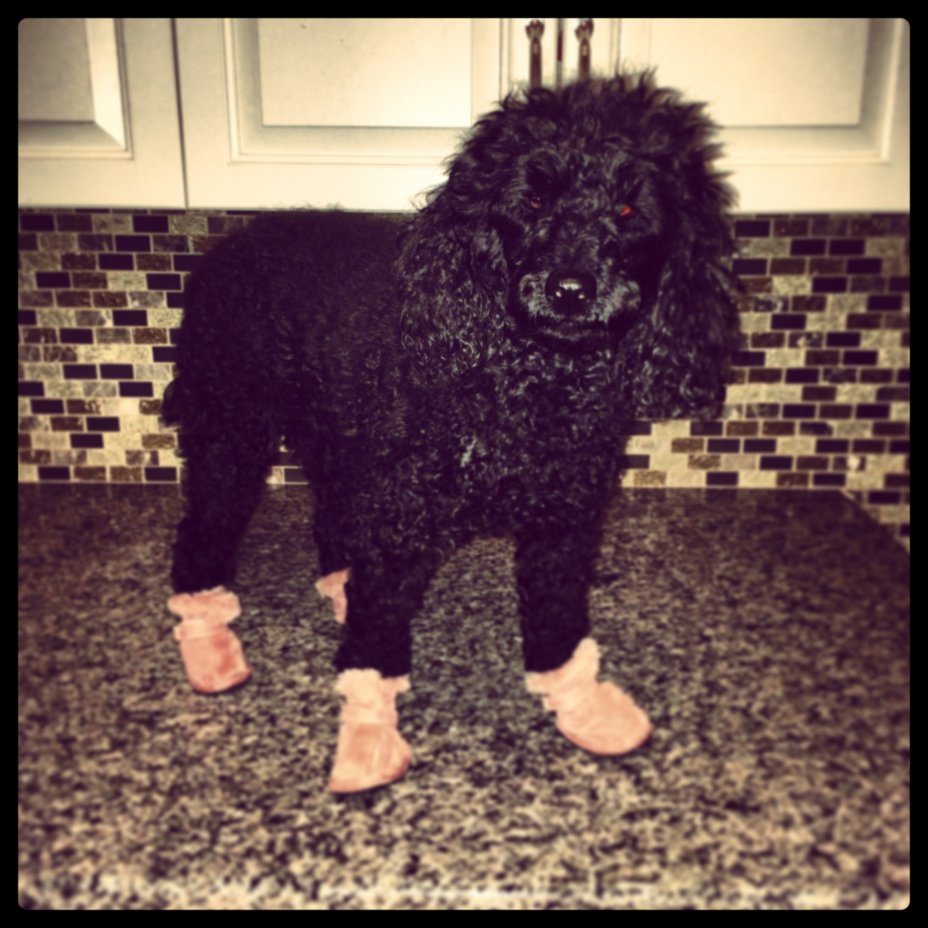 Jasmine with pink booties.jpg