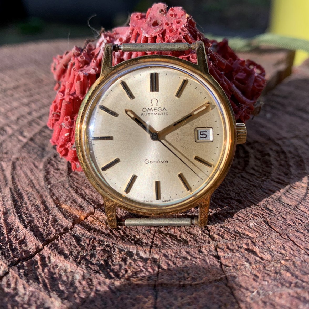 IMG_3529.jpg IMG_3529.jpg