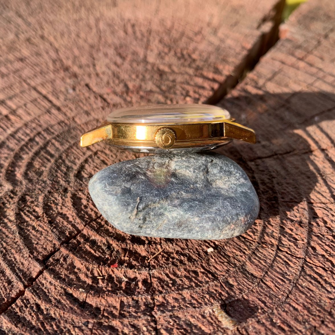 IMG_3530.jpg IMG_3530.jpg