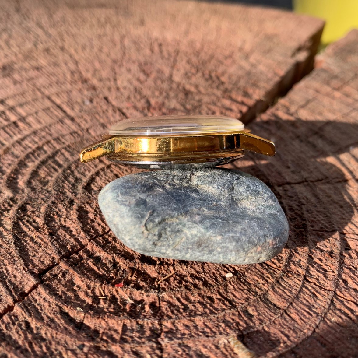 IMG_3531.jpg IMG_3531.jpg