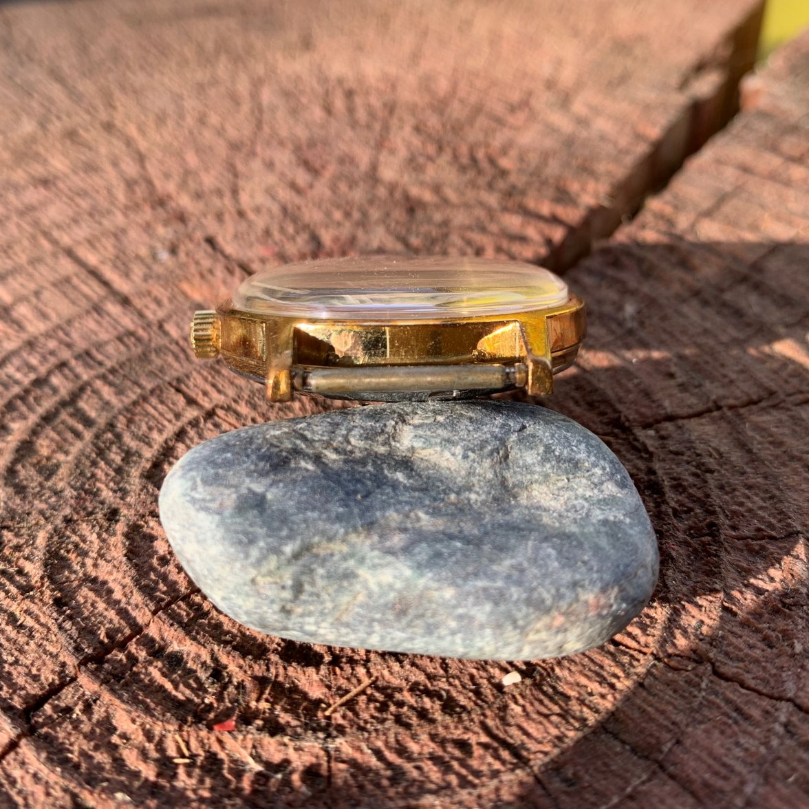 IMG_3532.jpg IMG_3532.jpg