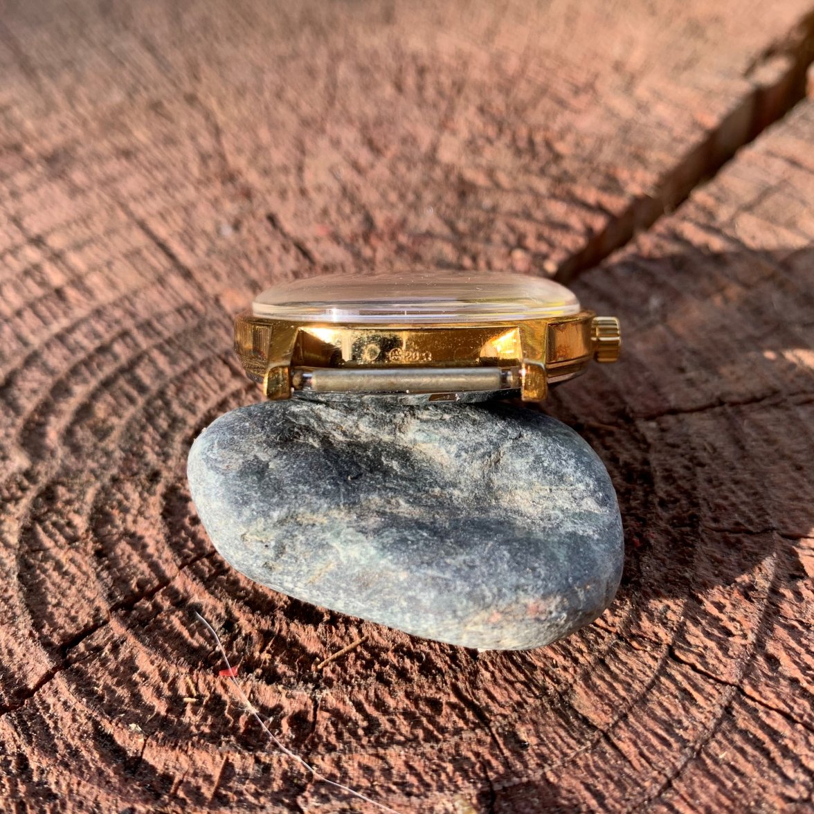 IMG_3533.jpg IMG_3533.jpg