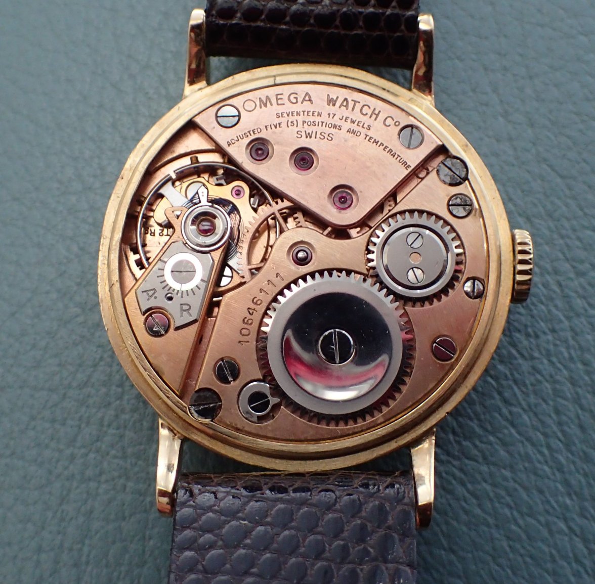 P2110109-k.jpg P2110109-k.jpg