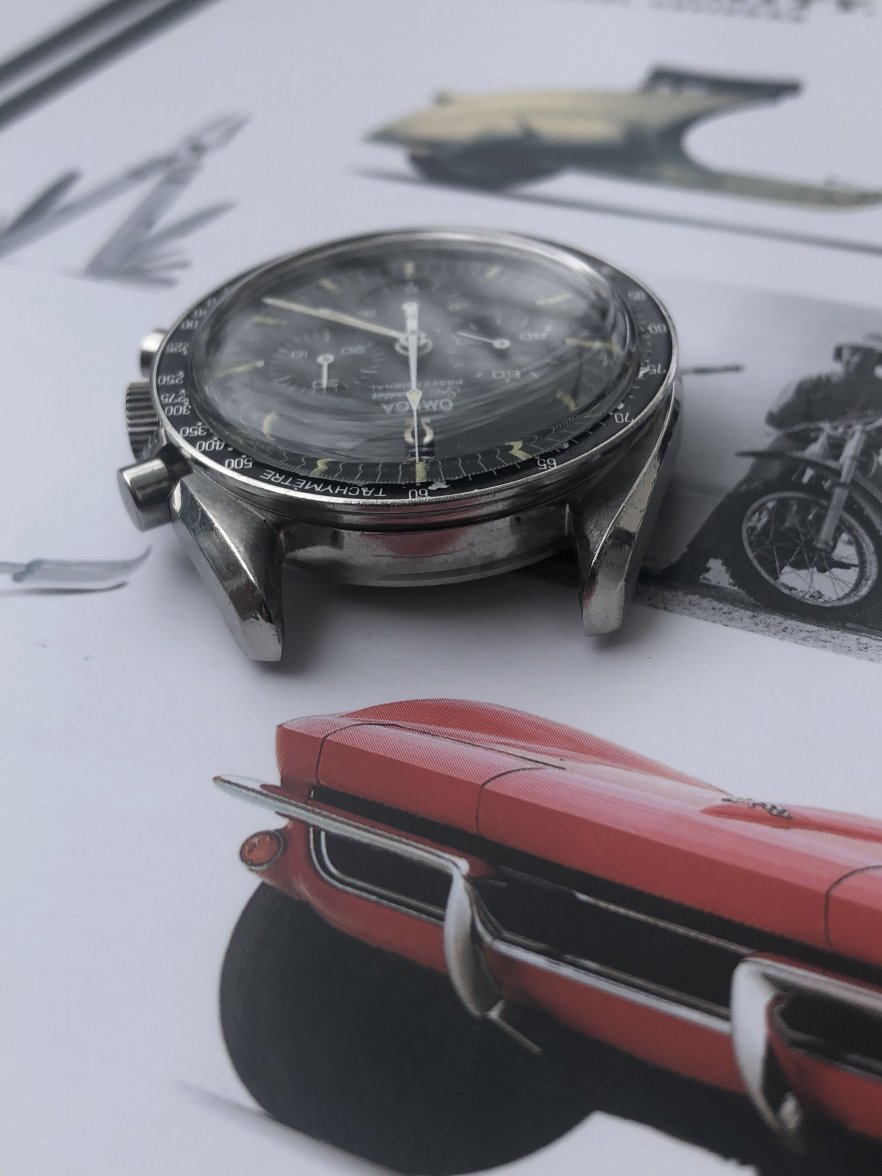 AF18A402-460A-4A99-88F6-2D3DBB27B4F5.jpeg AF18A402-460A-4A99-88F6-2D3DBB27B4F5.jpeg