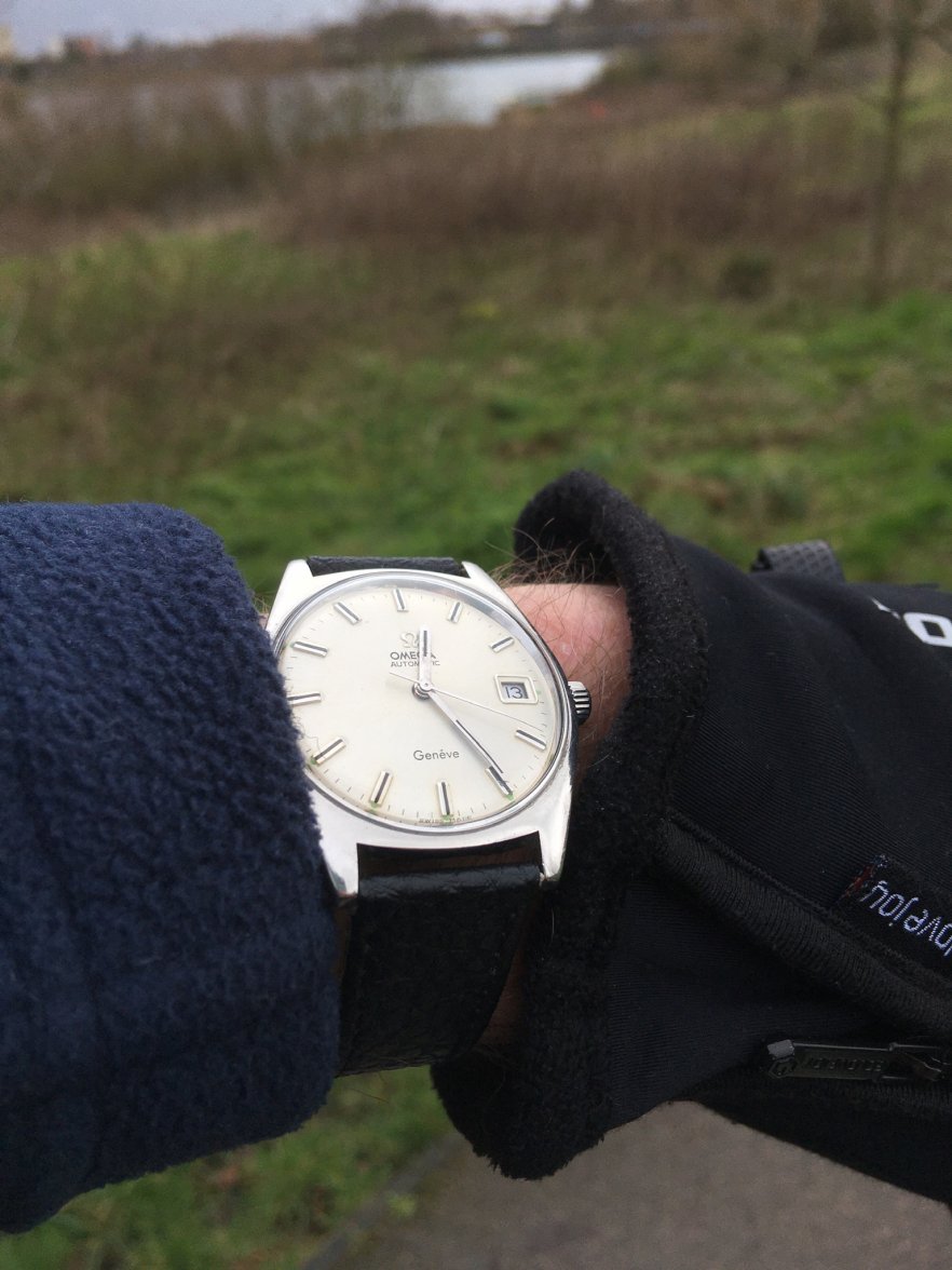 F4272EDB-FF20-47E6-A580-1ACA02C8281D.jpeg F4272EDB-FF20-47E6-A580-1ACA02C8281D.jpeg