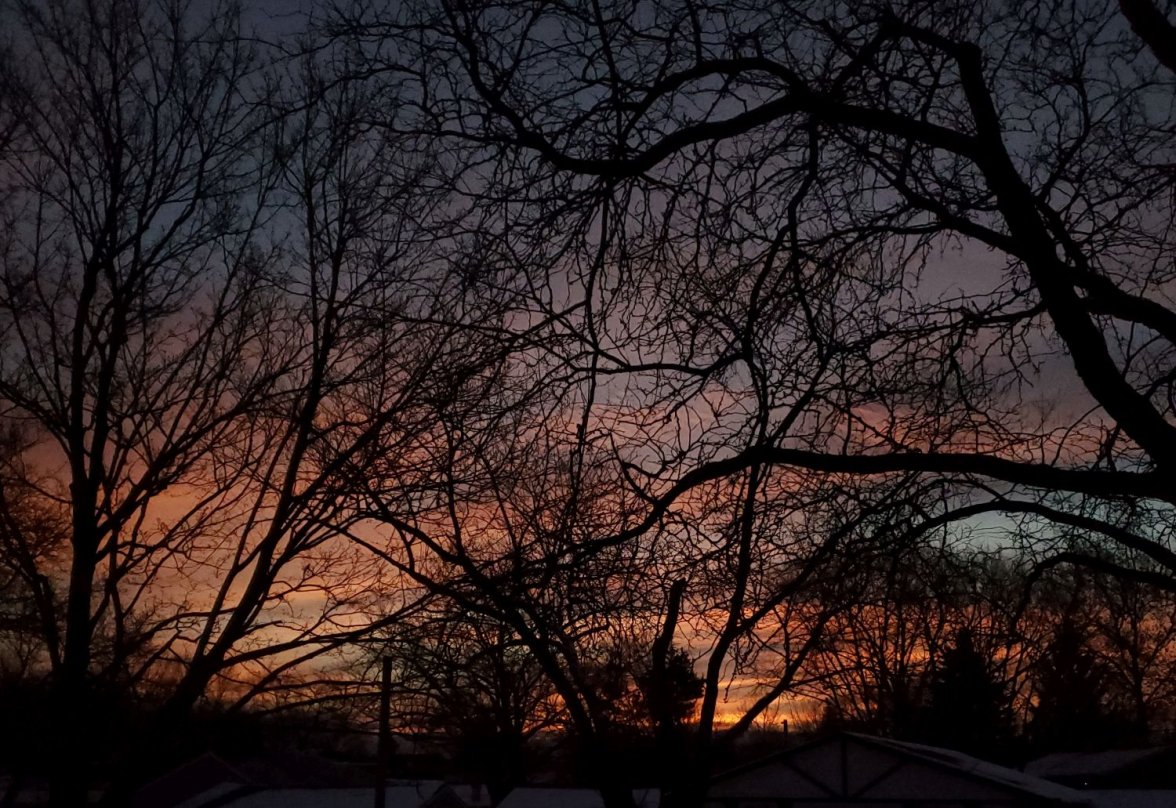 OMC ws sunrise 2 20200215_064040.jpg