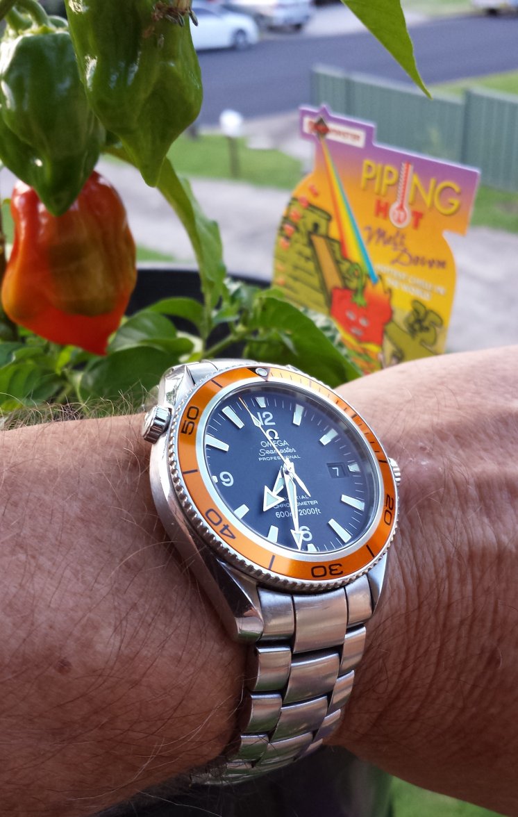 Omega Planet Ocean Chilli 2015-01-07 19.33.41.jpg