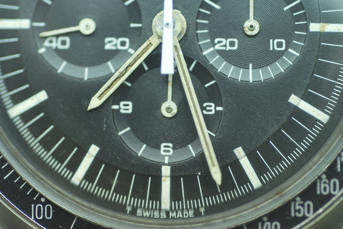 DSC_0081.JPG DSC_0081.JPG