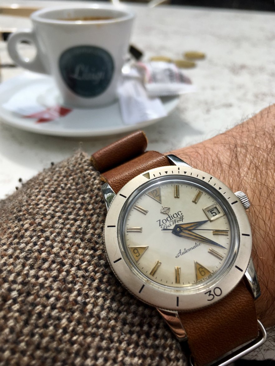 1186BE35-50C5-4DA2-90F1-9853C733AF71.jpeg 1186BE35-50C5-4DA2-90F1-9853C733AF71.jpeg