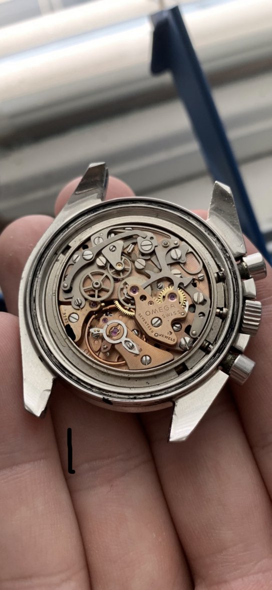 09094318-BFA7-4376-A317-640635E6798A.jpeg 09094318-BFA7-4376-A317-640635E6798A.jpeg