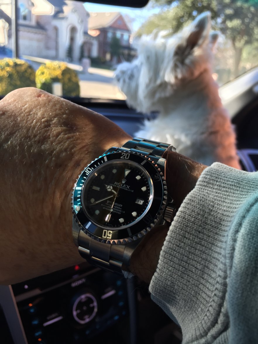 Travels with Charlie.jpg