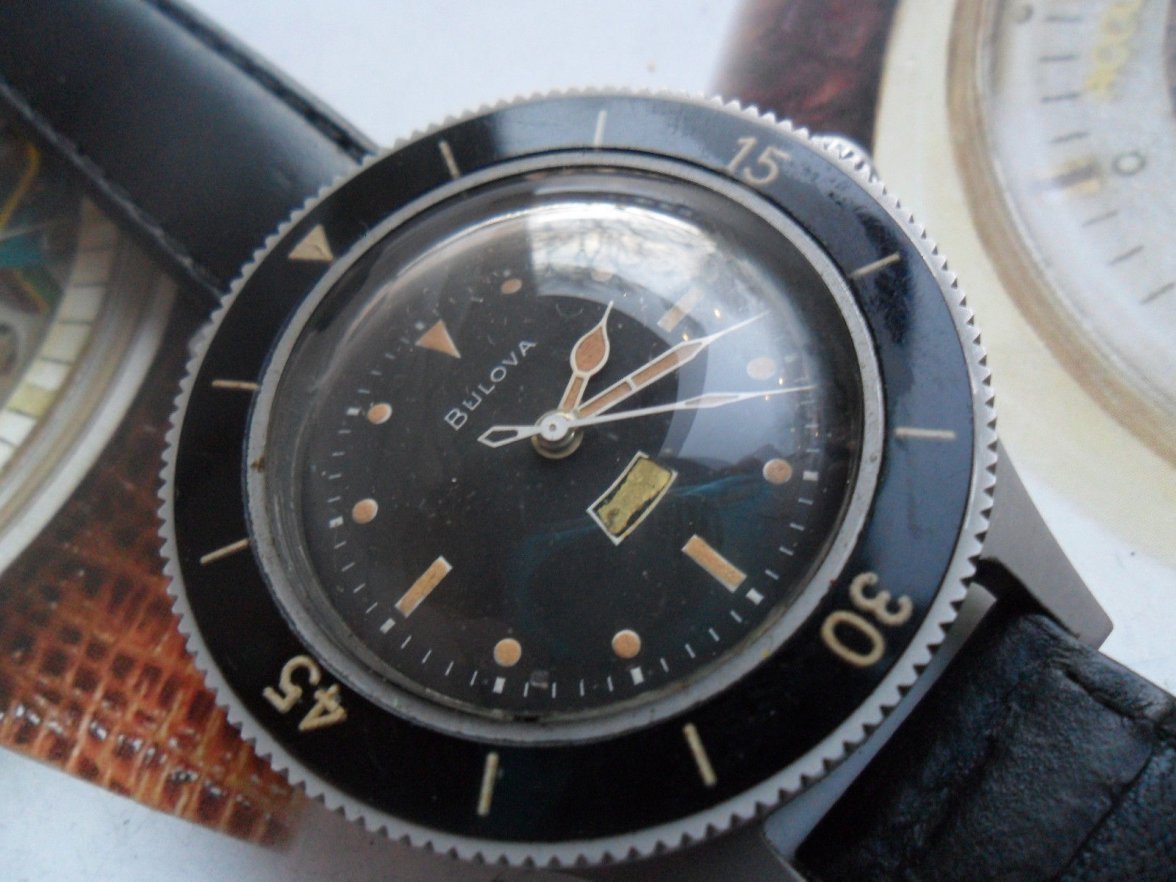 bulova diver.JPG