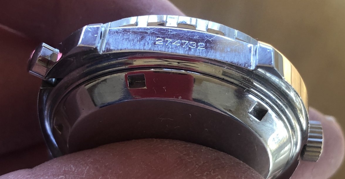 CA7F761B-99A7-4DCD-B350-203F65C13F4A.jpeg CA7F761B-99A7-4DCD-B350-203F65C13F4A.jpeg