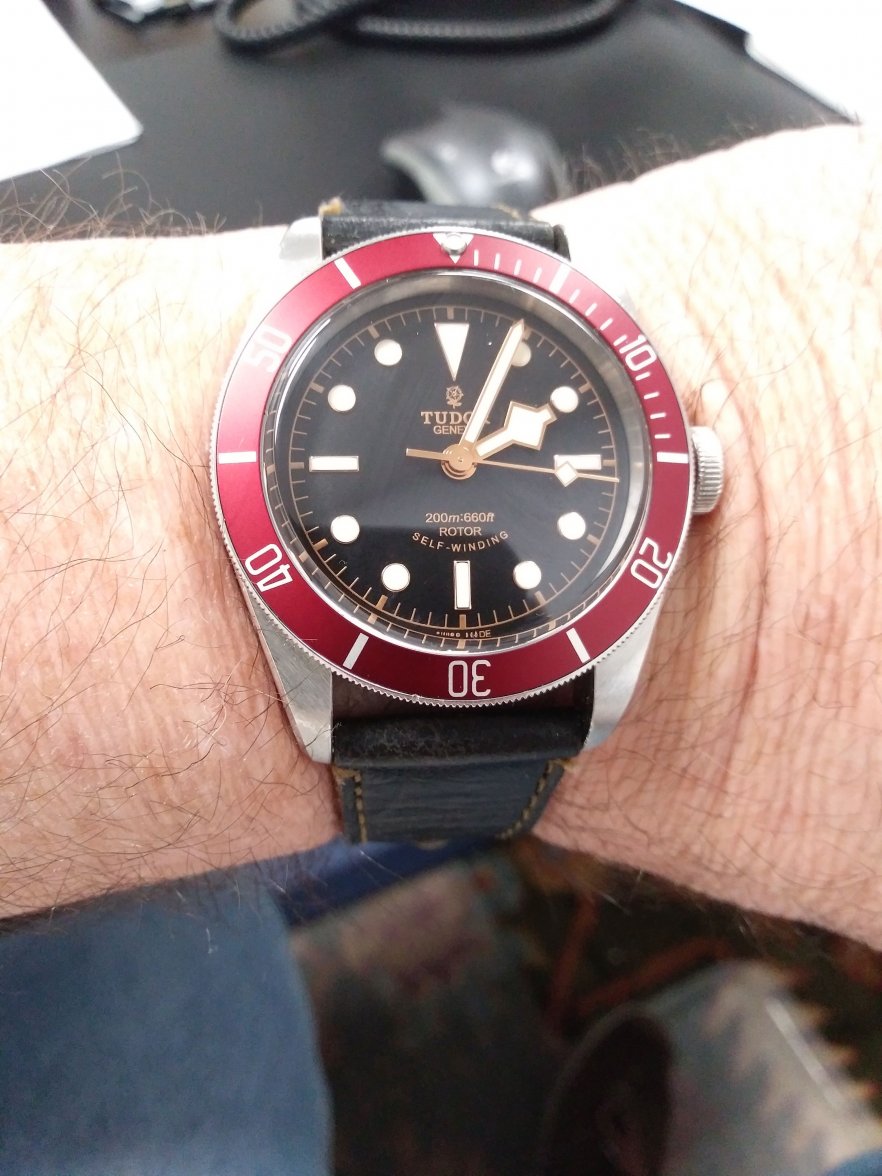 Tudor Black Bay 79220R.jpg
