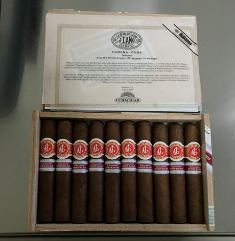 la flor de cano.JPG