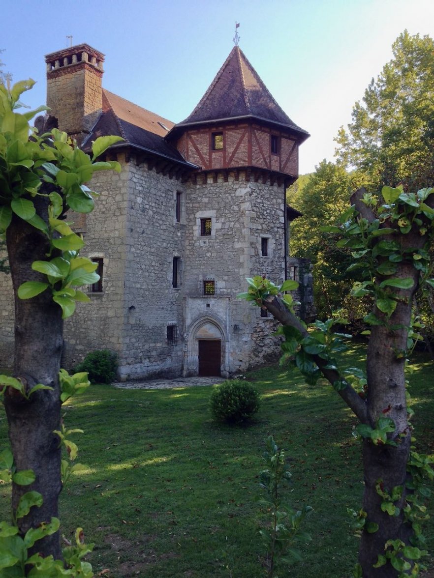 IMG_2395.jpeg IMG_2395.jpeg